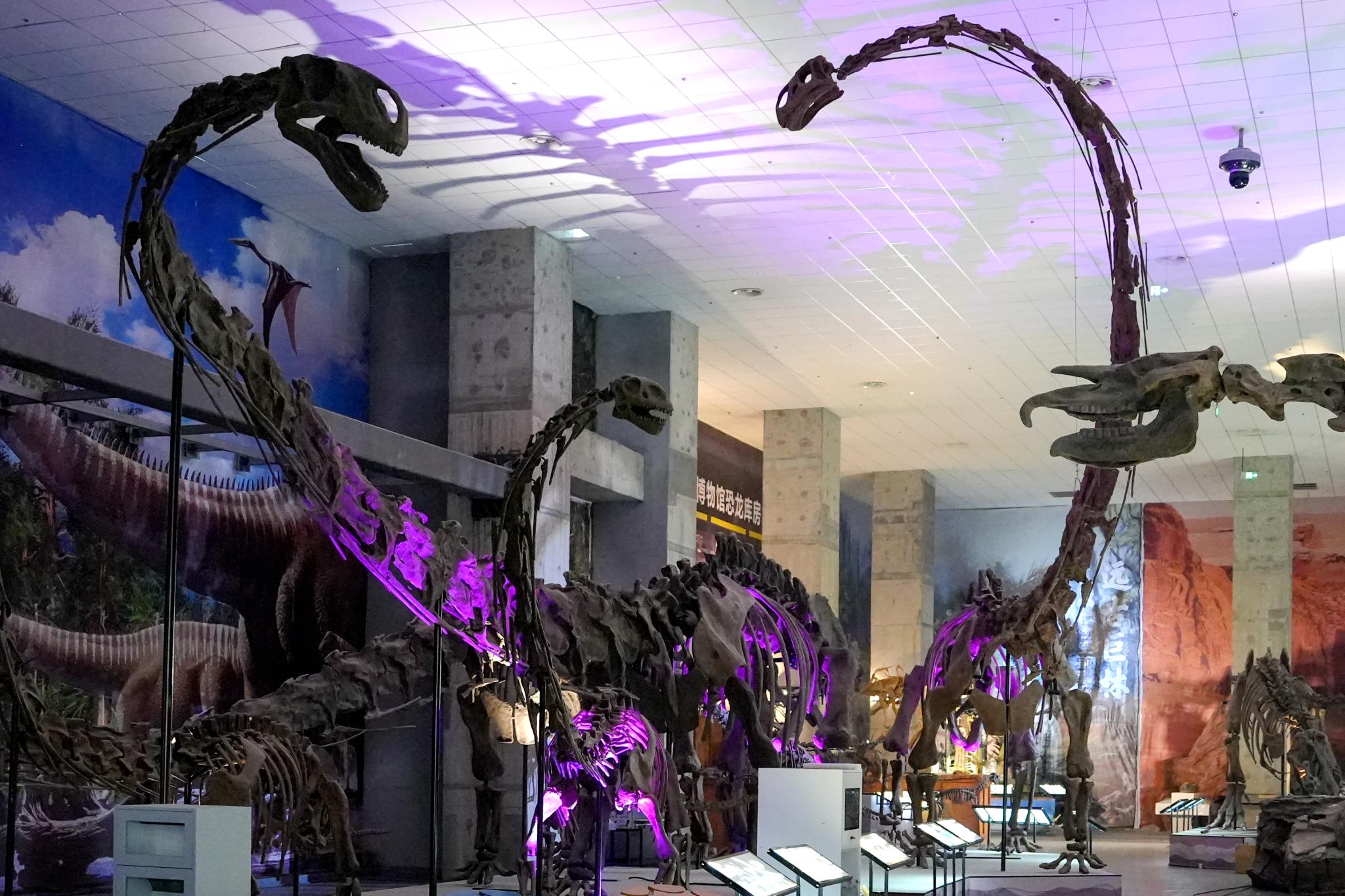 生存·探索——恐龙与人类